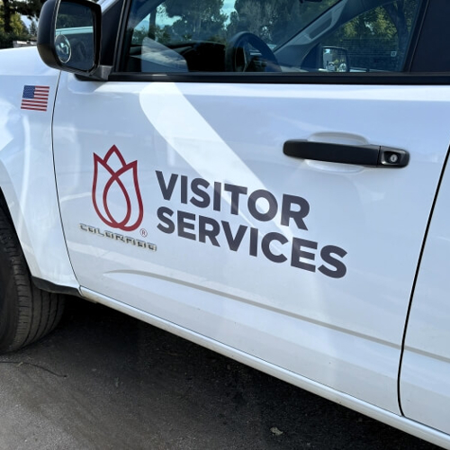 Vehicle Graphics